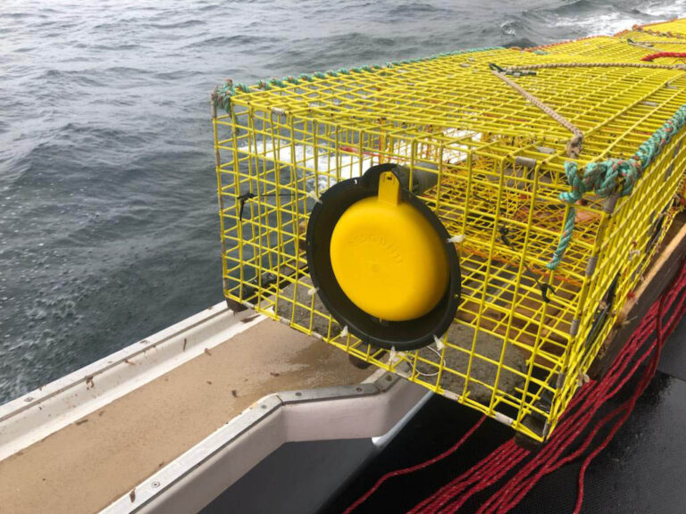 RESQUNIT installed on a Canadian lobser trap
